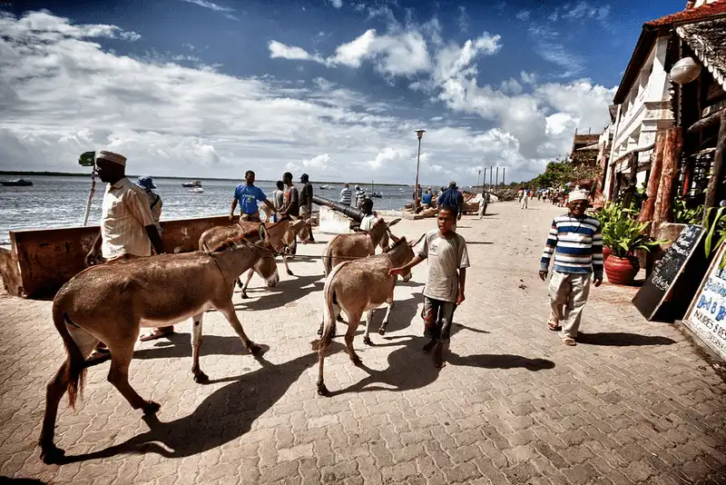 wanderlust tips ghe tham 6 thanh pho hoan toan vang bong o tren gioi 10