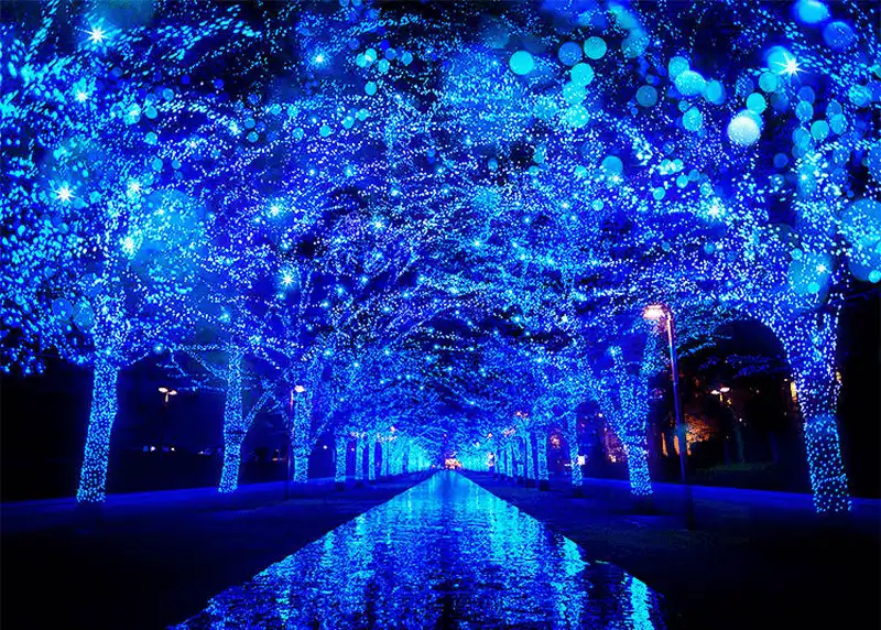 wanderlust tips goi y 5 dia diem don giang sinh lung linh o tokyo nhat ban 2