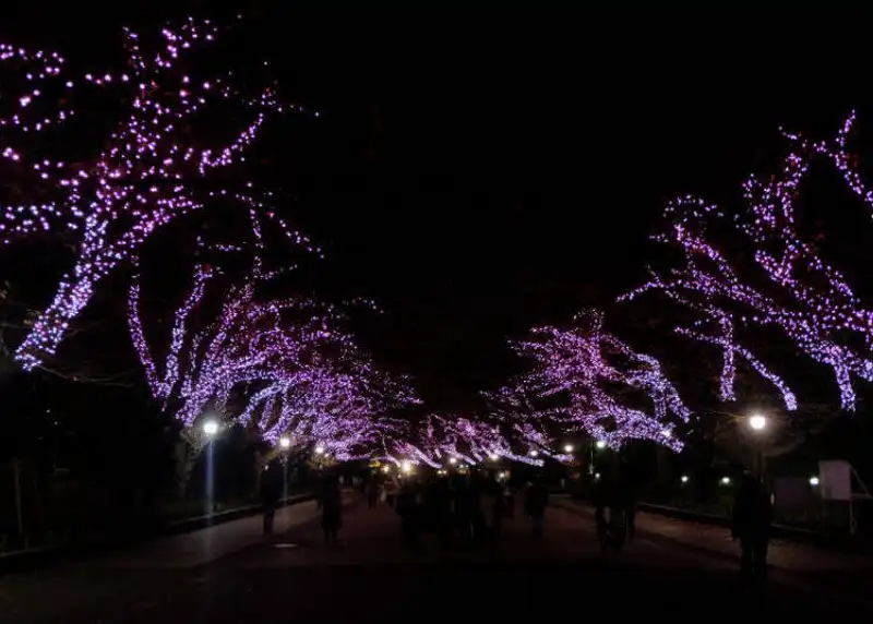 wanderlust tips goi y 5 dia diem don giang sinh lung linh o tokyo nhat ban 6