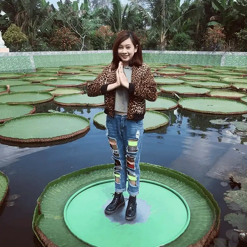 Khám phá loài sen lạ có thể "cõng" người ở chùa Phước Kiển, Đồng Tháp 10 wanderlust tips kham pha loai sen la co the cong nguoi o chua phuoc kien dong thap 9