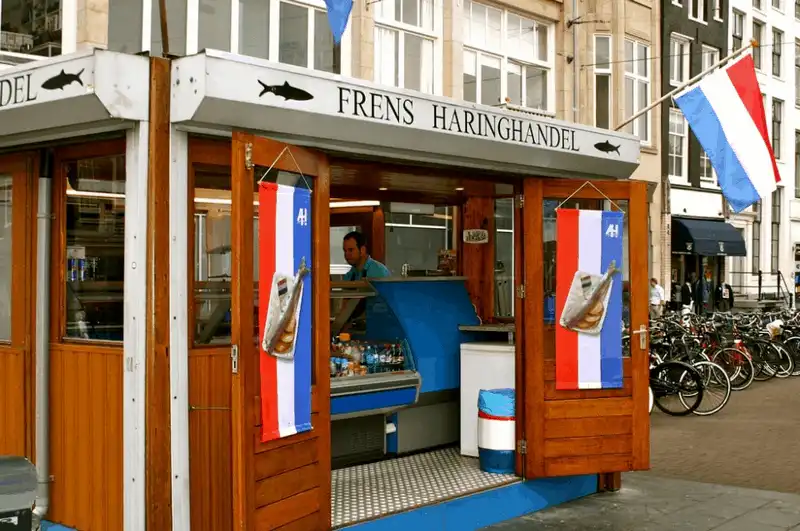 wanderlust tips kham pha ve dep dieu ki nhu trong co tich cua xu hoa tulip 3