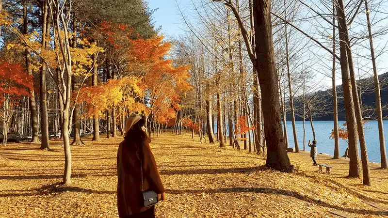 wanderlust tips kinh nghiem du lich tu tuc 6 ngay kham pha han quoc 13