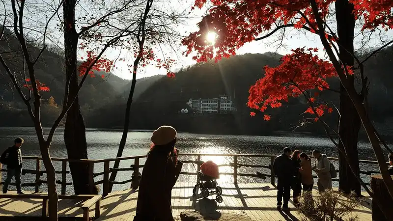 wanderlust tips kinh nghiem du lich tu tuc 6 ngay kham pha han quoc 16