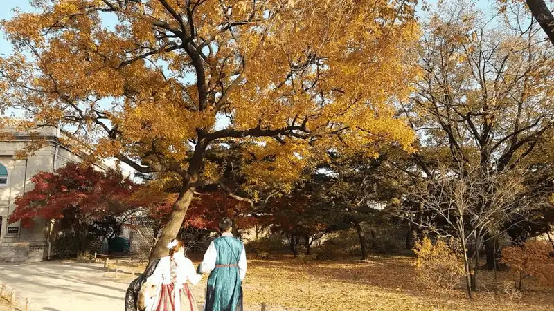 wanderlust tips kinh nghiem du lich tu tuc 6 ngay kham pha han quoc 19