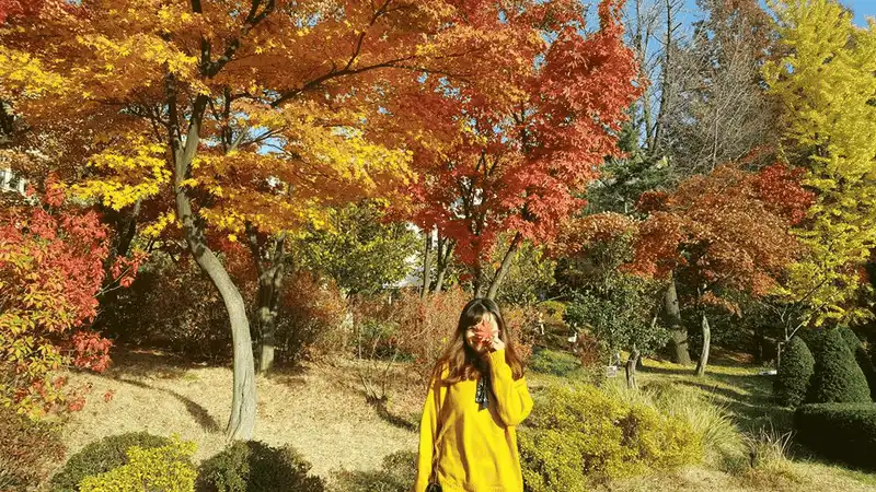 wanderlust tips kinh nghiem du lich tu tuc 6 ngay kham pha han quoc 24