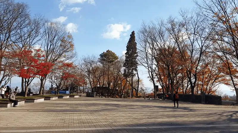 wanderlust tips kinh nghiem du lich tu tuc 6 ngay kham pha han quoc 4