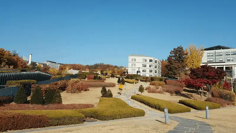 wanderlust tips kinh nghiem du lich tu tuc 6 ngay kham pha han quoc 5