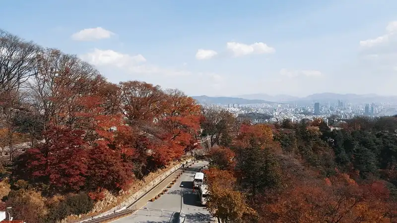 wanderlust tips kinh nghiem du lich tu tuc 6 ngay kham pha han quoc 6