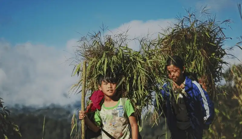 Mường Lống: Điểm thu hút dân phượt mới ở Nghệ An 11 wanderlust tips muong long diem thu hut dan phuot moi o nghe an 1