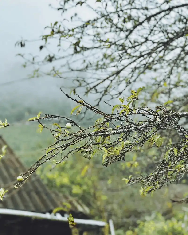 Mường Lống: Điểm thu hút dân phượt mới ở Nghệ An 10 wanderlust tips muong long diem thu hut dan phuot moi o nghe an 8
