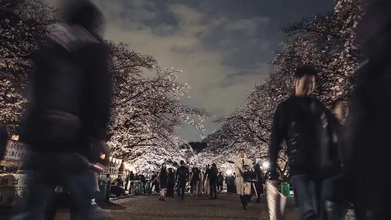 wanderlust tips ngam nhin cuoc song doi thuong binh di o tokyo hoa le 11