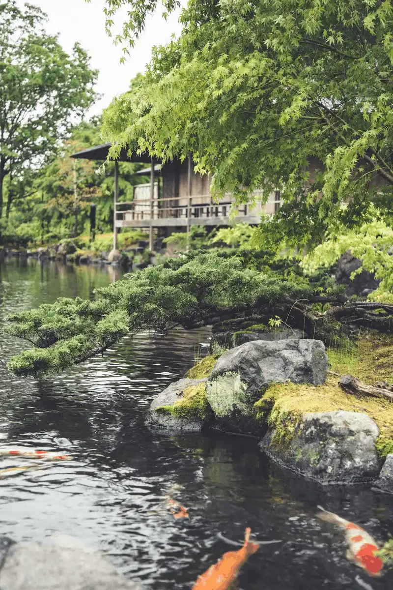 wanderlust tips ngam nhin cuoc song doi thuong binh di o tokyo hoa le 21