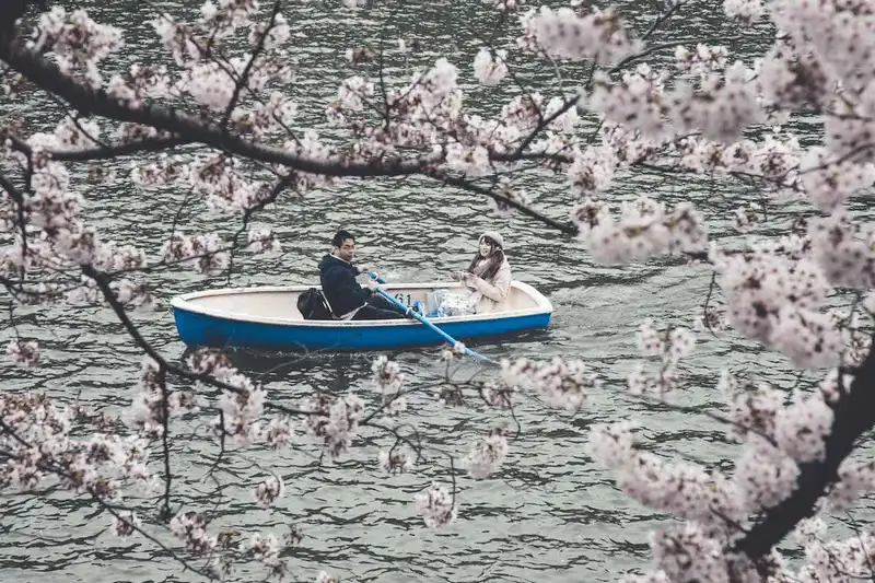 wanderlust tips ngam nhin cuoc song doi thuong binh di o tokyo hoa le 8