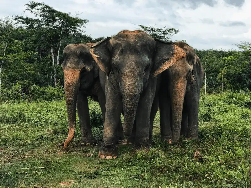 wanderlust tips nhung thien than victorias secret va ky nghi dang nho o thai lan 2