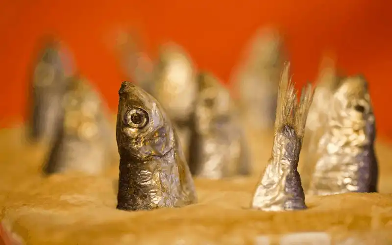 wanderlust tips stargazy mon banh nhan ca moi dac biet cua anh 3