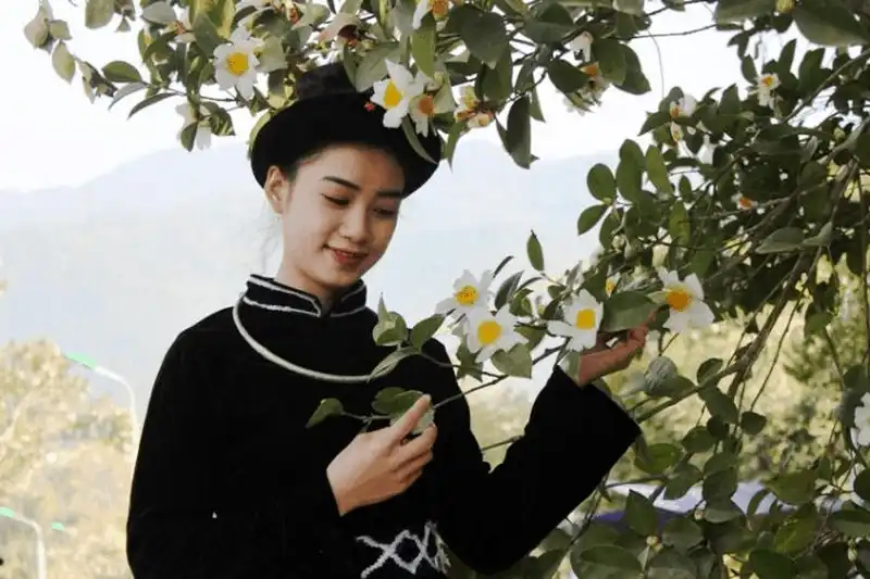 Tháng 12 có hẹn với lễ hội hoa sở Bình Liêu 6 wanderlust tips thang 12 co hen voi le hoi hoa so binh lieu 1