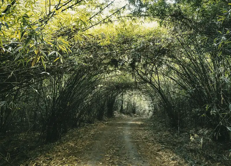 wanderlust tips top 15 diem den viet nam do lonely planet binh chon 7