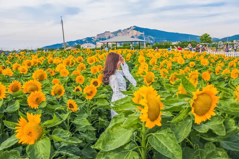 Travel blogger Alexis Toh: "Tôi yêu và rất muốn quay trở lại Việt Nam" 11 wanderlust tips travel blogger alexis toh toi yeu va rat muon quay tro lai viet nam 2