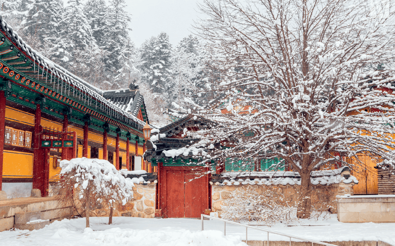 wanderlust tips 8 ly do phai den Gangwon do xu so than tien mua dong1 1