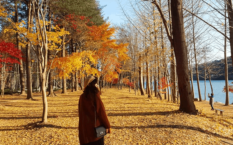 wanderlust tips kinh nghiem du lich tu tuc 6 ngay kham pha han quoc 0