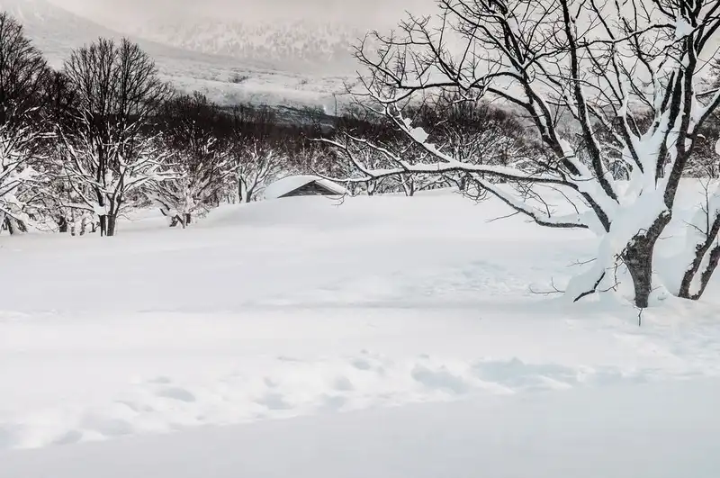 wanderlust tips 10 dia danh co nguoi song huu luong bang tuyet lon nhat gioi 2