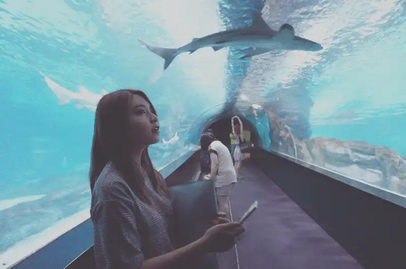 10 địa điểm quay phim nổi tiếng trong các "bom tấn" truyền hình Hàn Quốc 11 wanderlust tips 10 dia diem quay phim noi tieng trong cac bom tan truyen hinh han quoc 8