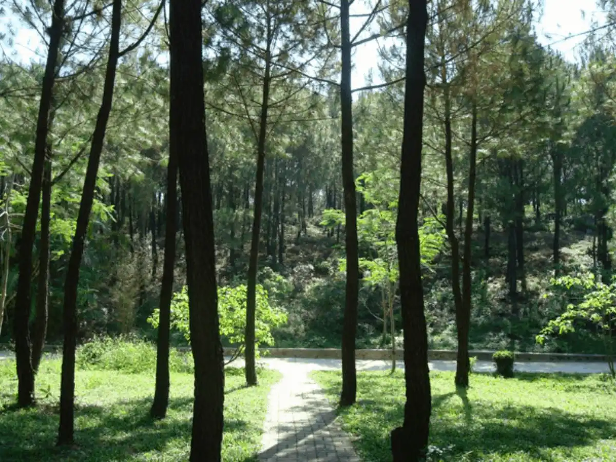 wanderlust tips 8 diem du lich dak Lak khong the bo qua vao buoi chieu17