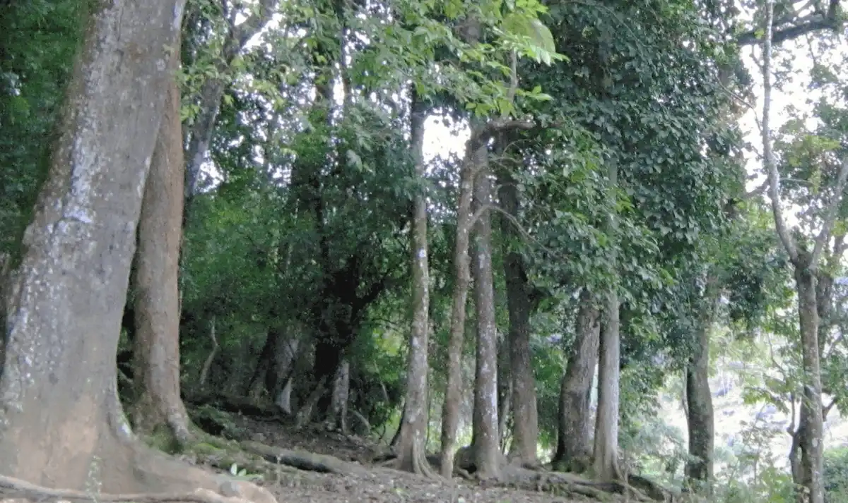 wanderlust tips 8 diem du lich dak Lak khong the bo qua vao buoi sang5