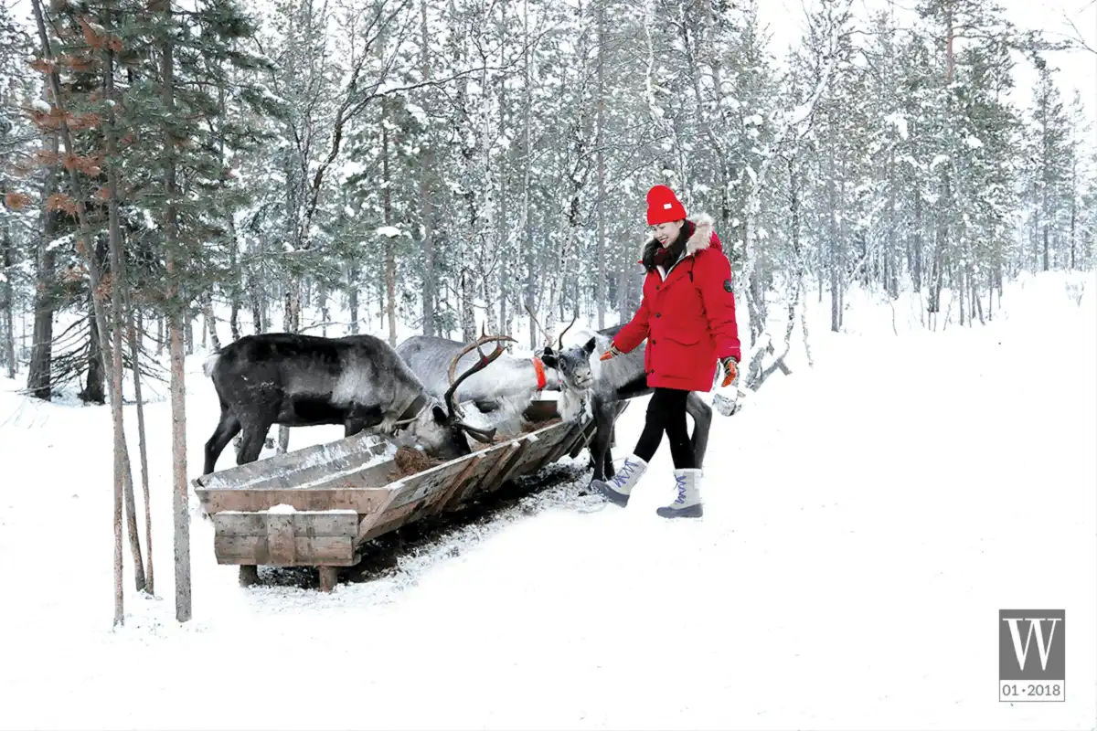 Murmansk – Tìm về vùng đất tuyết trắng 6 wanderlust tips Murmansk Tim ve vung dat tuyet trang1 1