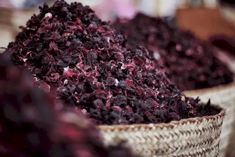 wanderlust tips bat ngo voi karkade loai tra noi tieng o ai cap lam tu hoa dam 4