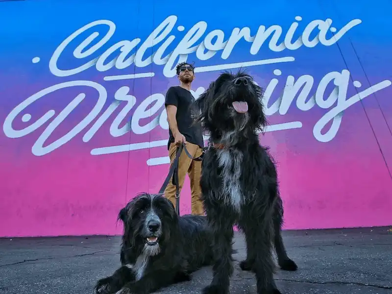 wanderlust tips chang trai du lich khap nuoc my cung 2 chu cun cung 8