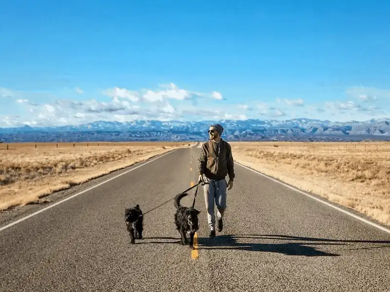 wanderlust tips chang trai du lich khap nuoc my cung 2 chu cun cung 9