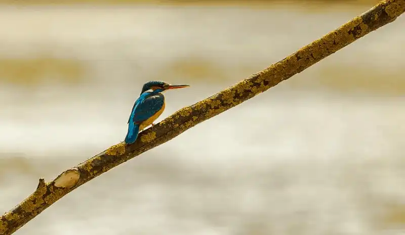 wanderlust tips chiem nguong nhung hinh anh dep nhu co tich o romania 13