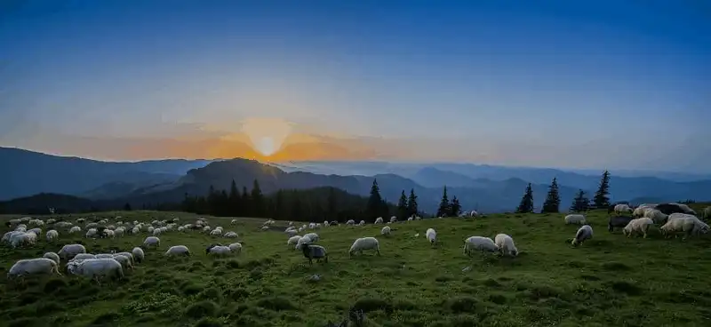 wanderlust tips chiem nguong nhung hinh anh dep nhu co tich o romania 2