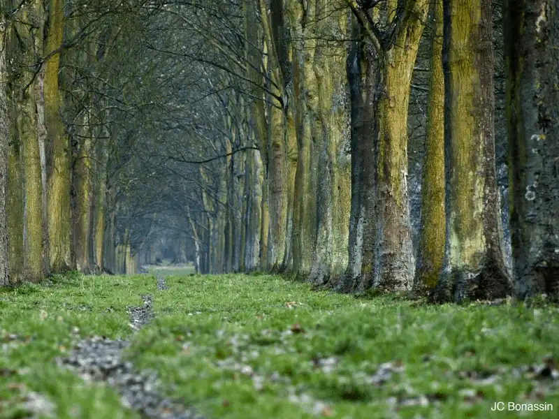 wanderlust tips ghe tham 13 diem den tuyet dep tung xuat hien trong phim bom tan star wars 12