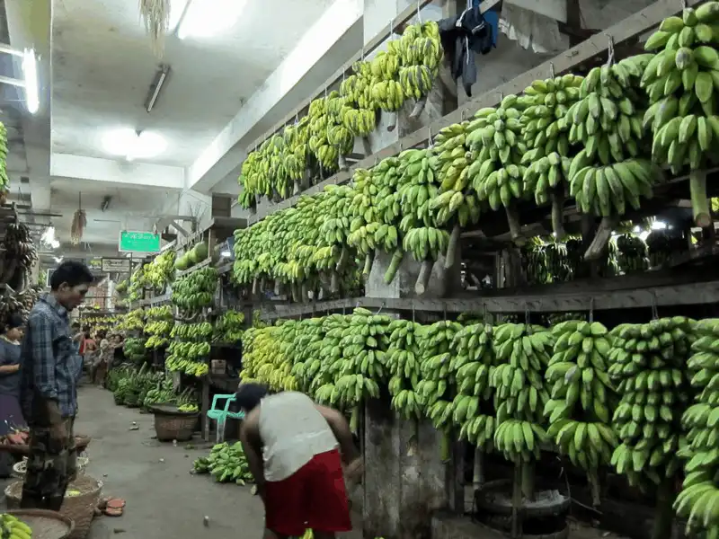 wanderlust tips ghe tham 5 khu cho day mau sac nhat o yangon myanmar 9