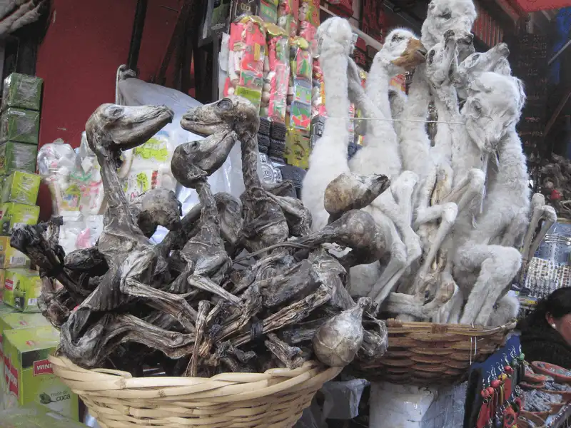 wanderlust tips ghe tham la paz cho phu thuy doc dao o bolivia 4