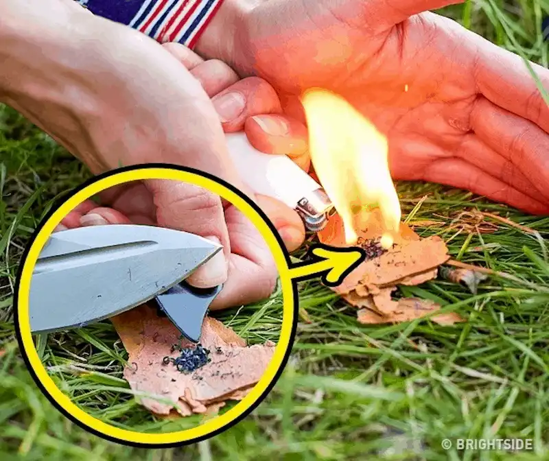 wanderlust tips ghi nho nhung meo nho nay ban se tang co hoi song sot khi bi lac trong rung 11