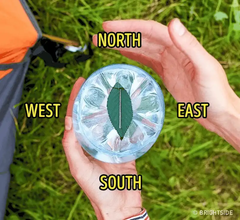 wanderlust tips ghi nho nhung meo nho nay ban se tang co hoi song sot khi bi lac trong rung 12