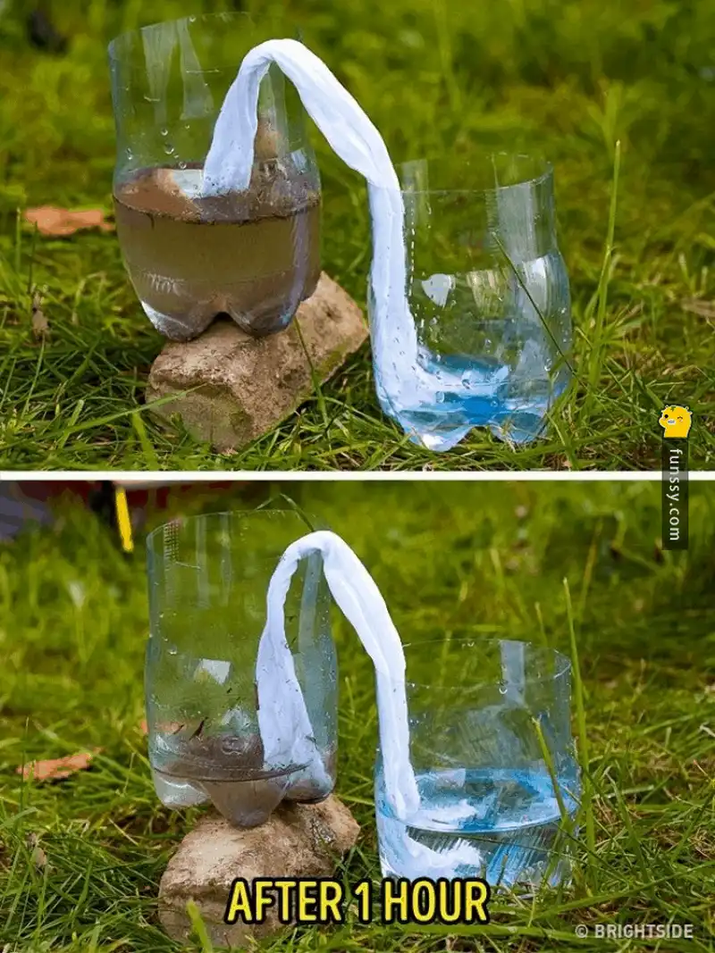 wanderlust tips ghi nho nhung meo nho nay ban se tang co hoi song sot khi bi lac trong rung 2