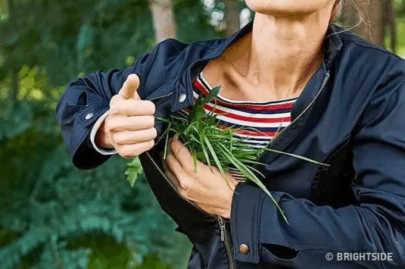 wanderlust tips ghi nho nhung meo nho nay ban se tang co hoi song sot khi bi lac trong rung 4