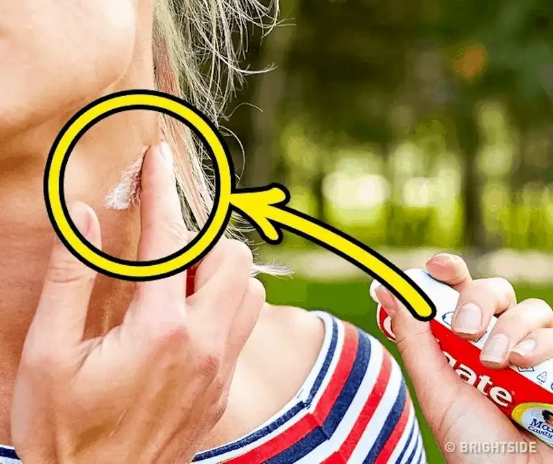 wanderlust tips ghi nho nhung meo nho nay ban se tang co hoi song sot khi bi lac trong rung 6