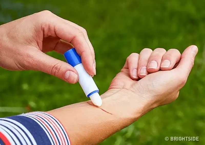 wanderlust tips ghi nho nhung meo nho nay ban se tang co hoi song sot khi bi lac trong rung 8