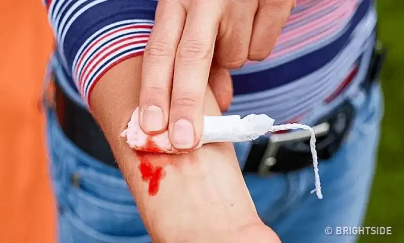 wanderlust tips ghi nho nhung meo nho nay ban se tang co hoi song sot khi bi lac trong rung 9