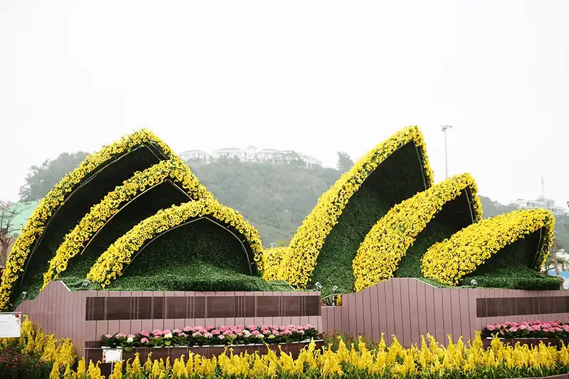 Khai mạc Lễ hội Kỳ quan muôn sắc hoa tại Hạ Long 6 wanderlust tips khai mac le hoi ky quan muon sac hoa tai ha long 2