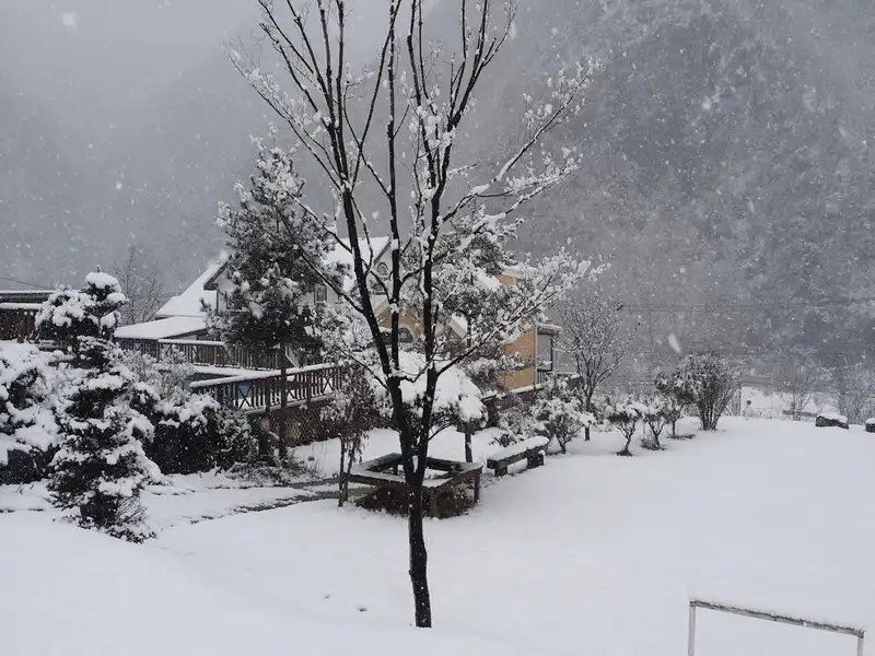 wanderlust tips kham pha pyeongchang noi chuc van hoi mua dong 2018 5