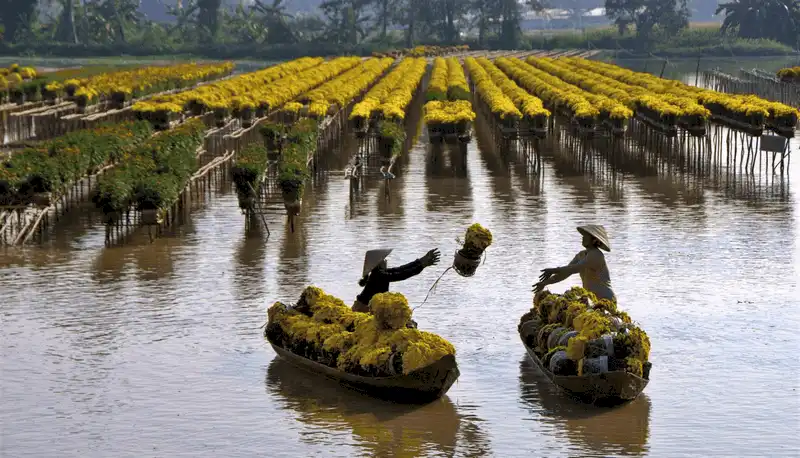 wanderlust tips lang hoa sa dec ron rang khoe sac dip tet den xuan ve 10