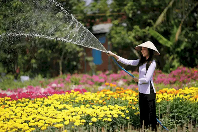 wanderlust tips lang hoa sa dec ron rang khoe sac dip tet den xuan ve 11