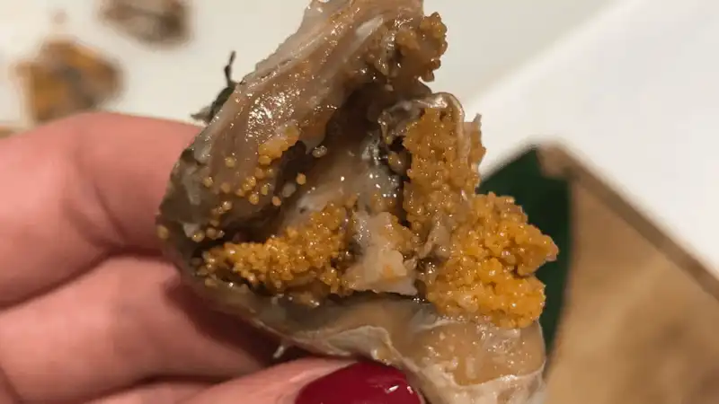 Narezushi - món sushi có quy trình bảo quản kéo dài gần 100 năm 10 wanderlust tips narezushi mon sushi co quy trinh bao quan keo dai gan 100 nam 8