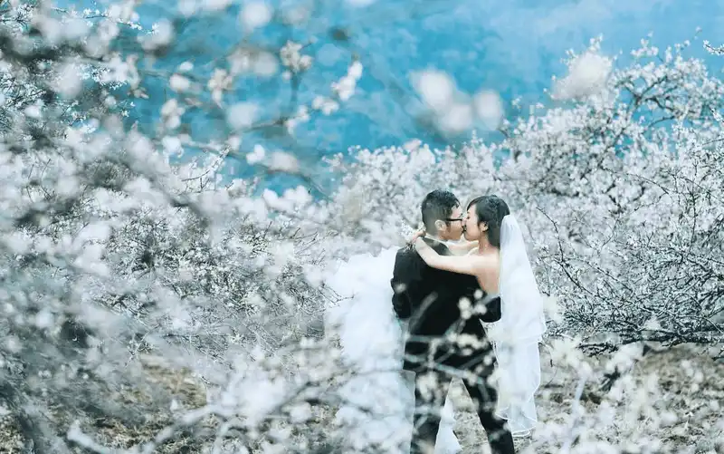 wanderlust tips nguoc ve moc chau ngam hoa man dang bung no trang mot goc troi 11